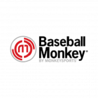 Baseball Monkey