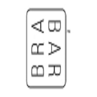 BRABAR