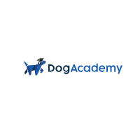 Dog Academy
