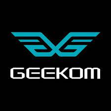 Geekom DE
