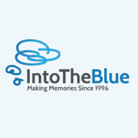 Into the Blue