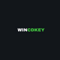 Wincdkey