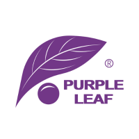 Purple Leaf