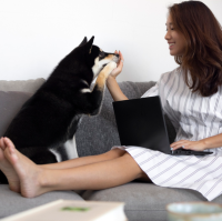 PawSwing Review: A Complete Guide to Better Pet Care Solutions
