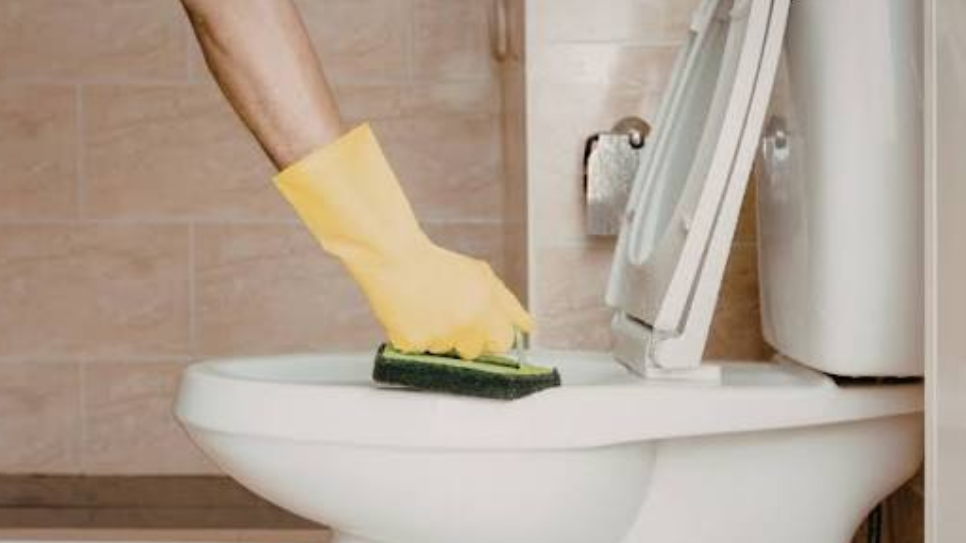 Toilet Cleaner Sheets